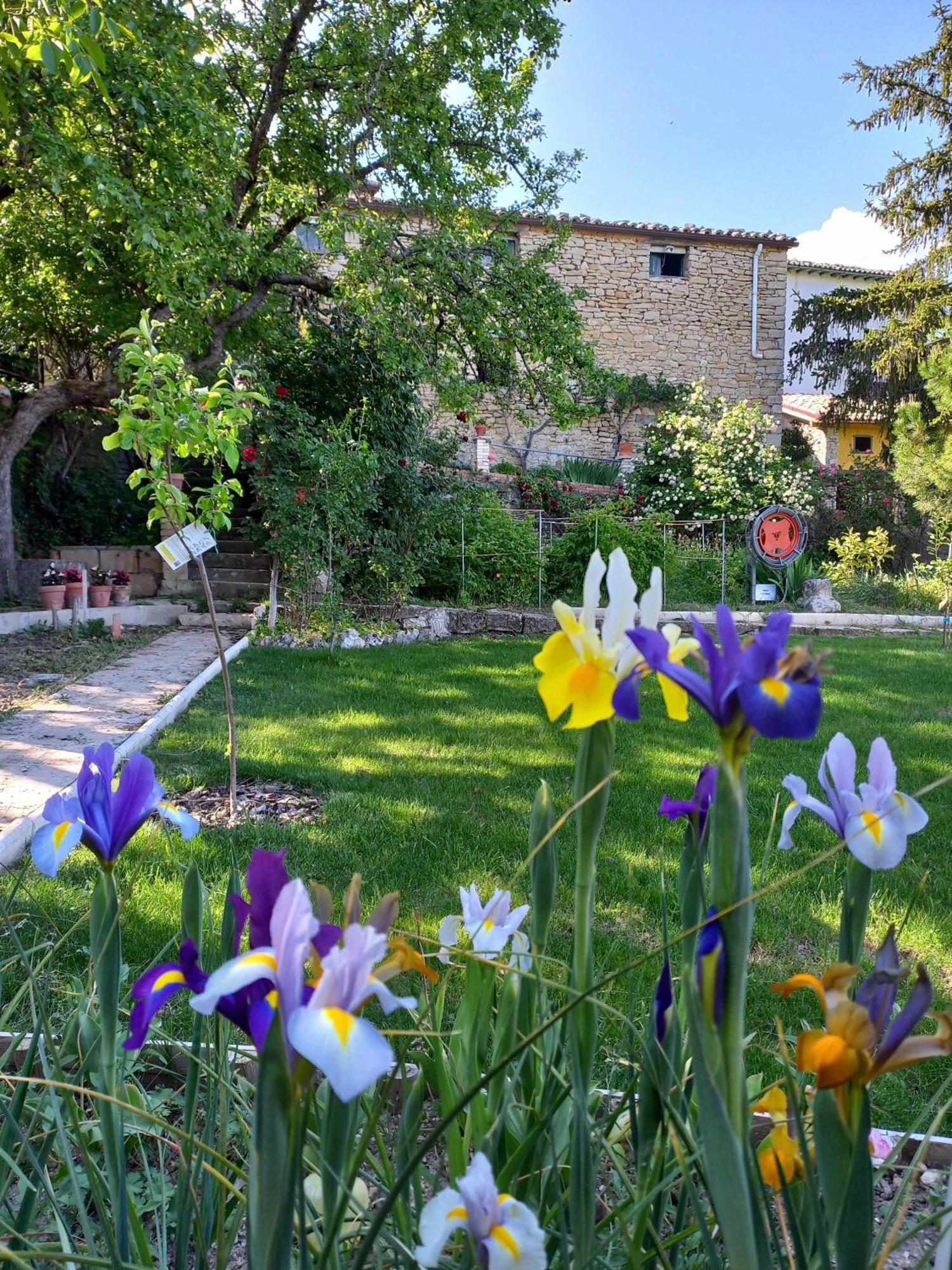 Casa Albaitar Con Piscina Y Sala De Juegos Azcona Ngoại thất bức ảnh